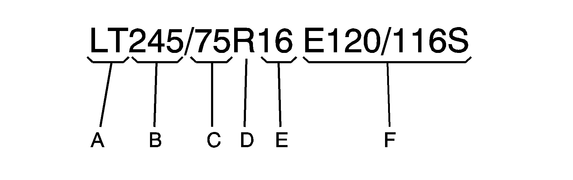 Object Number: 1261695  Size: B1