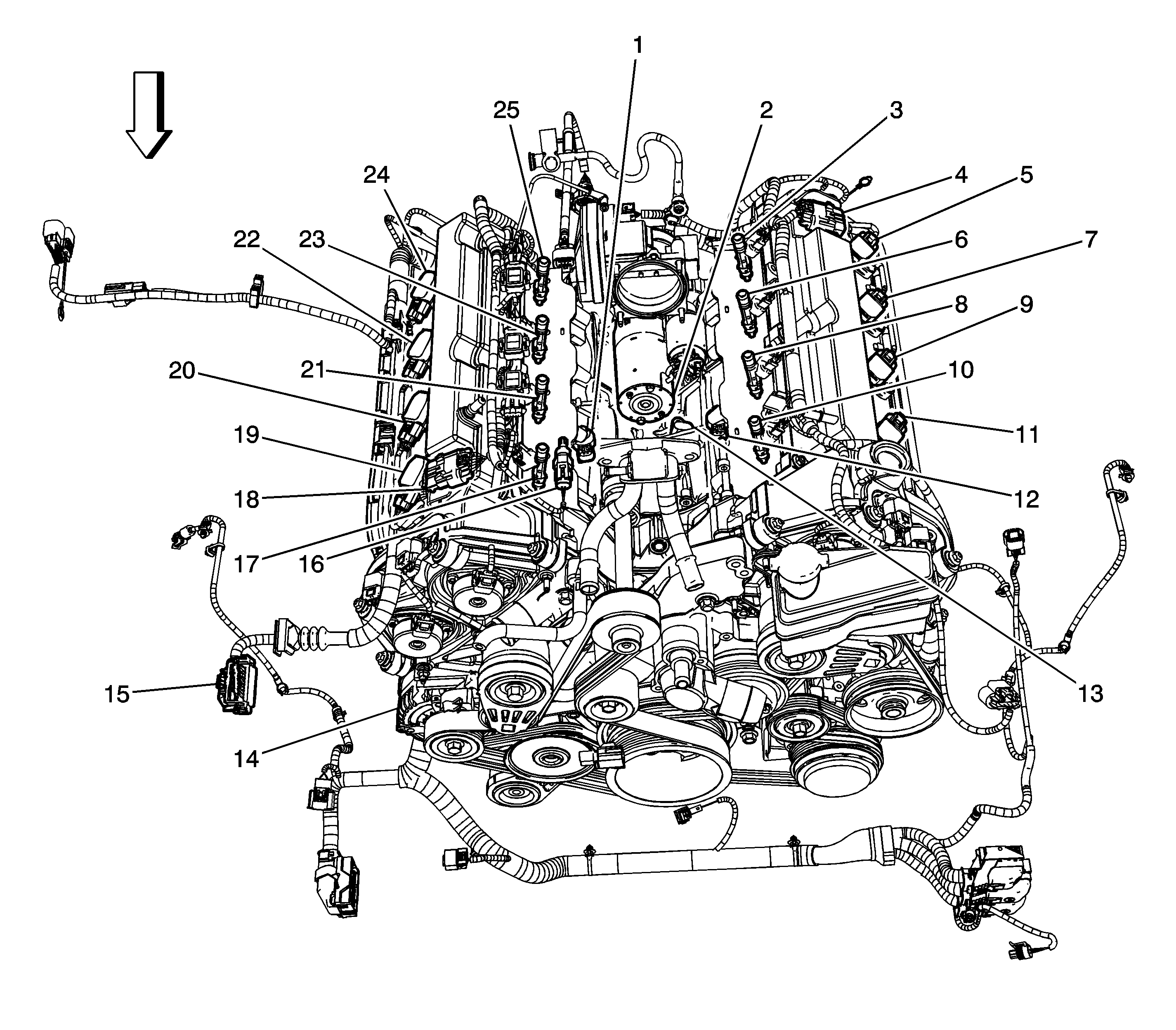 Object Number: 1704940  Size: LF